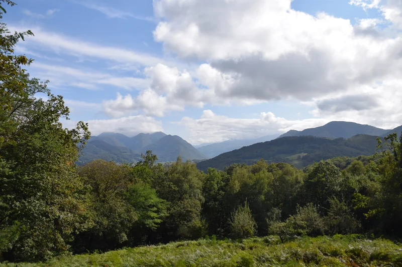 Randonnée La boucle de la forêt de Pouzac