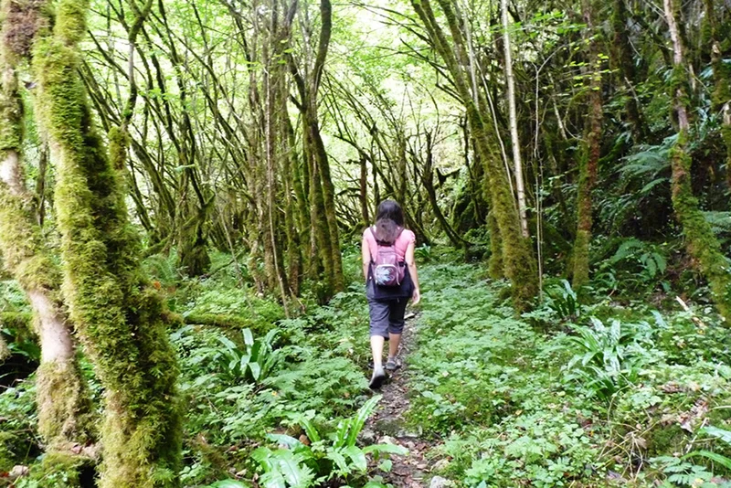 Randonnée Chemin de la Cantère