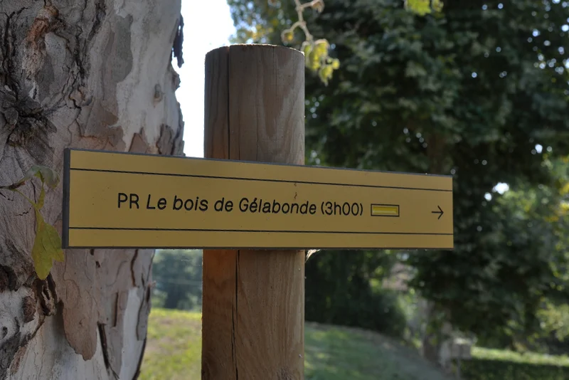 Randonnée Bois de Gelabonde