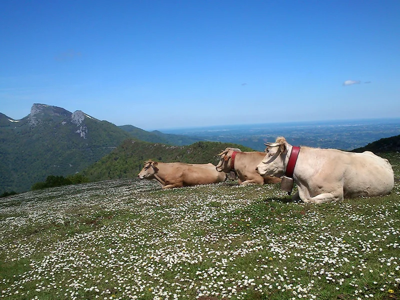 Randonnée Vallée de l'Artiguette