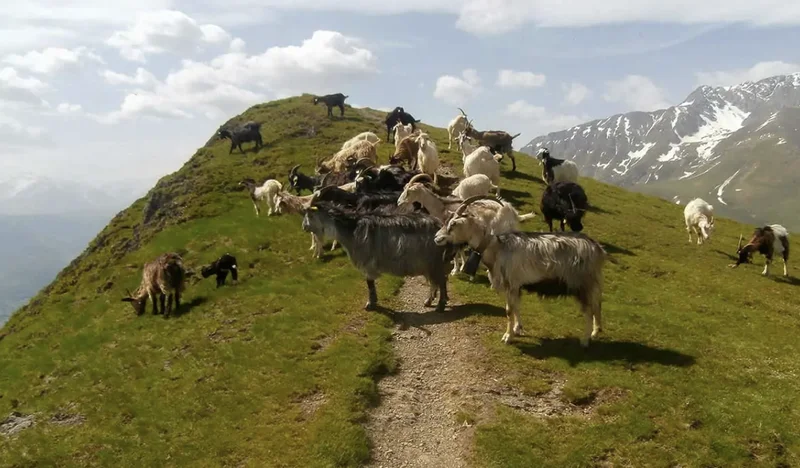 Randonnée Plo del Naou — Aspin-Aure
