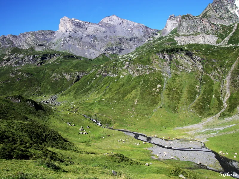 Randonnée RANDO VIA TELESIEGE - Sentier du Soulecou — Aragnouet
