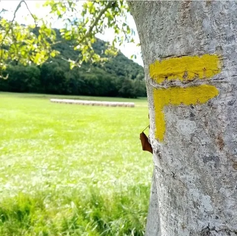 Randonnée Plaine de Lesponne — Aventignan