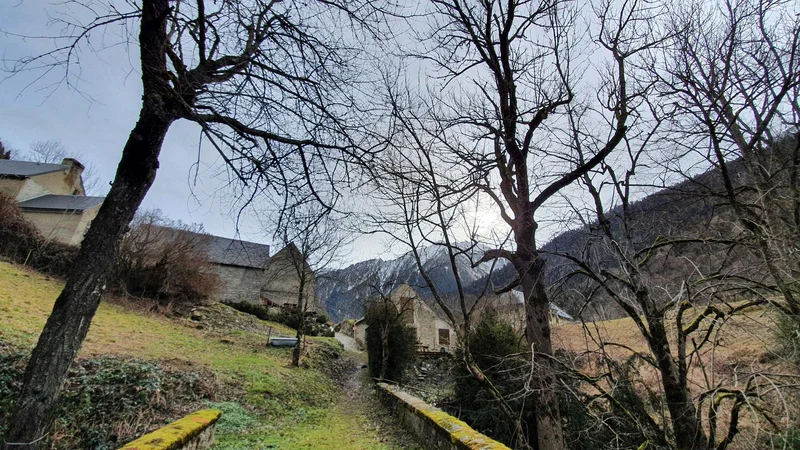 Randonnée RANDO - Chemin des buis — Aragnouet