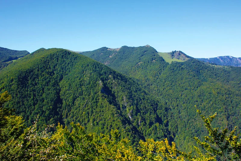Randonnée Le sentier du Pladi — Saint-Pé-de-Bigorre