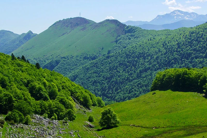 Randonnée Le Col du Prat du Rey — Ségus