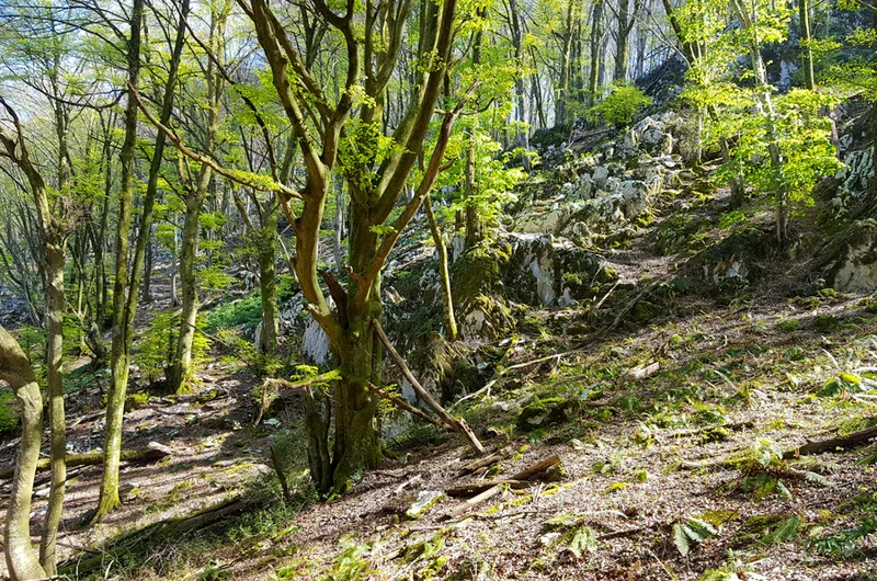 Randonnée Le sentier du Bénac — Saint-Pé-de-Bigorre