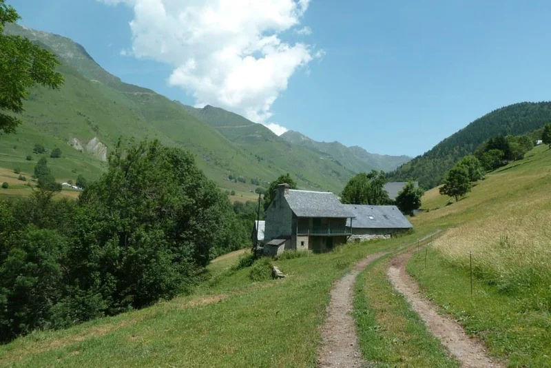 VTT Enduro n°117 - Garboure — Barèges