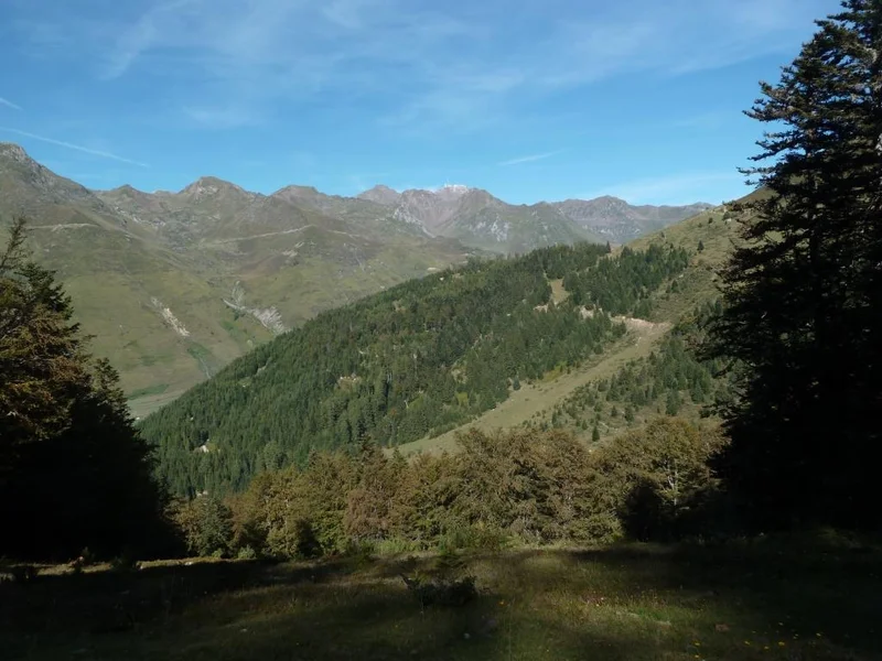 VTT Enduro n°118 - La forêt de l'Ayré — Barèges