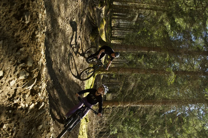 VTT Circuit Enduro E11 - Mirkwood — Beaudéan