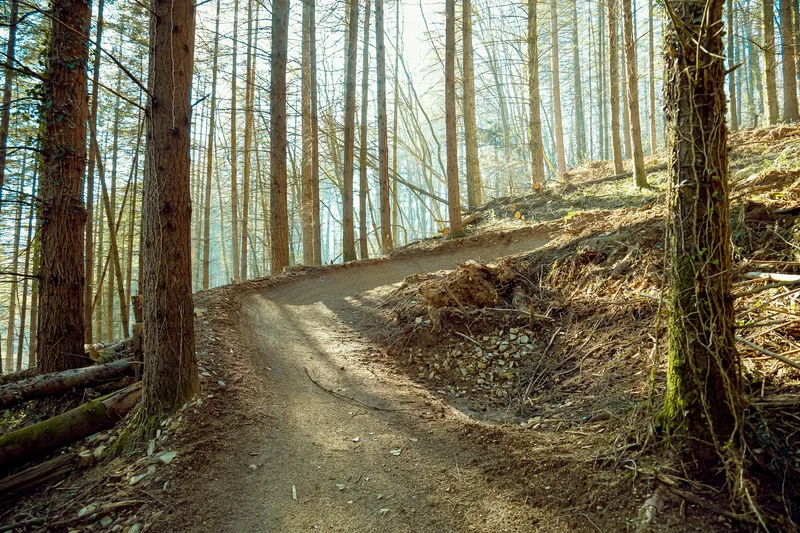 VTT Circuit Enduro B11 Avé César — Pouzac