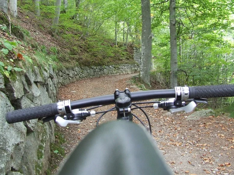 VTT Circuit VTT n°5 - Barèges - La forêt de l'Ayré et les plateaux — Barèges