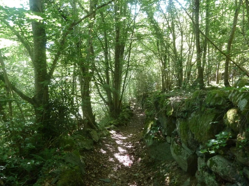 VTT Circuit VTT n°7 - Vallée de Luz - La boucle de Viscos — Argelès-Gazost