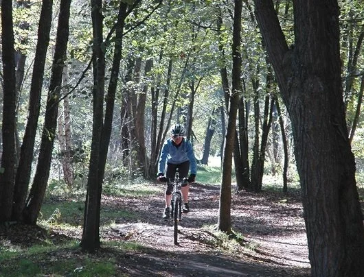 VTT Circuit VTT n°2 - Vallée d'Argelès - Boo et tranquilou — Lau-Balagnas