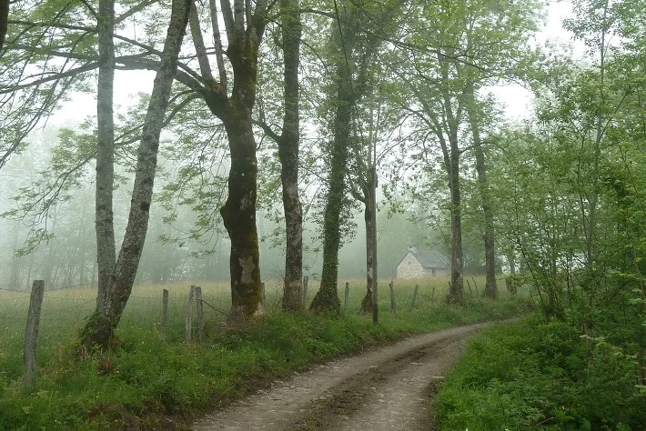 VTT Circuit VTT n°6 - Val d'Azun - La vallée perdue — Arras-en-Lavedan