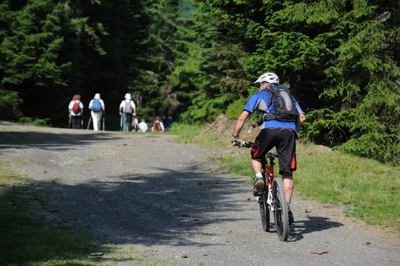 VTT Circuit VTT n°11 - Val d'Azun - Le Liar — Arras-en-Lavedan