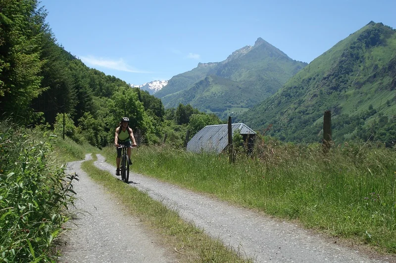 VTT Circuit VTT n°10 - Val d'Azun - Le Cabaliros — Sireix