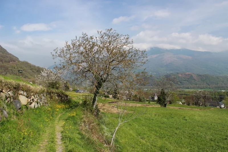 VTT Circuit VTT n°4 - Vallée d'Argelès - L'Extrem de Salles — Lau-Balagnas