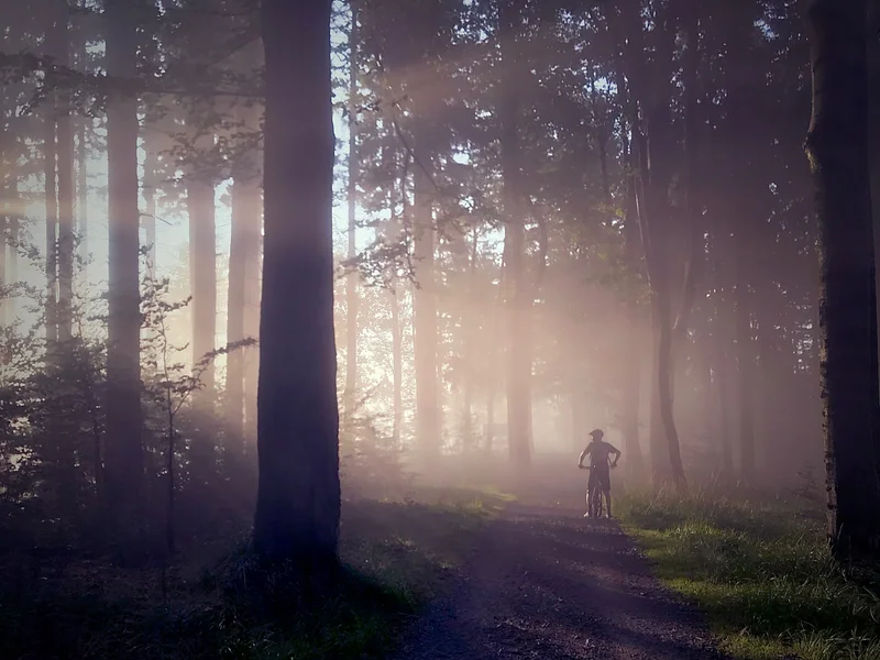 VTT Circuit n°2 - Lourdes - Au fil du Gave — Saint-Pé-de-Bigorre