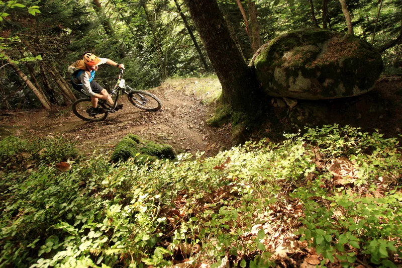 VTT Circuit n°3 - Lourdes - Du bois vers la Mouscle — Saint-Pé-de-Bigorre
