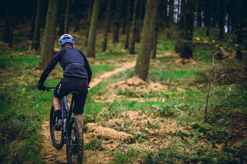VTT Circuit n°6 - Lourdes - La forêt de Bartrès — Adé