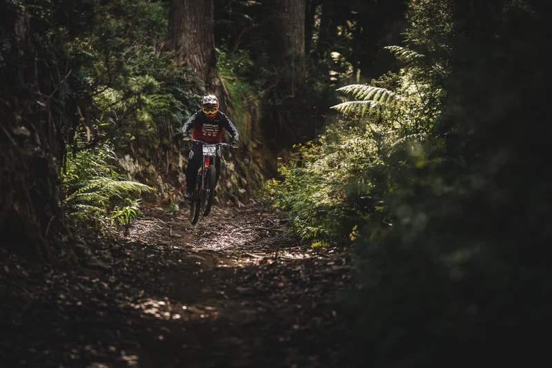 VTT Circuit n°11 - Lourdes - La vallée de l'Ousse — Lourdes