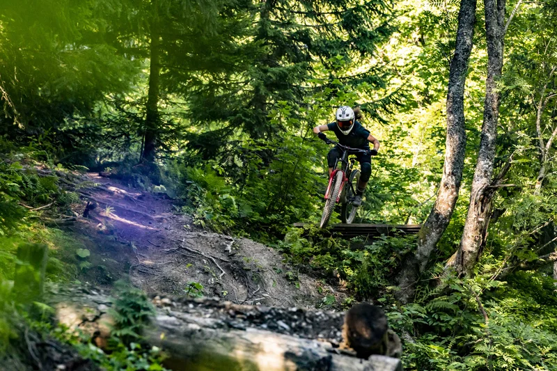 VTT VTT 33 - Goupil — Aragnouet