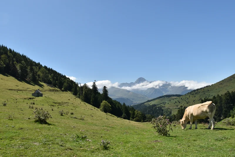 Vélo de route Payolle et le col d'Aspin — Bagnères-de-Bigorre