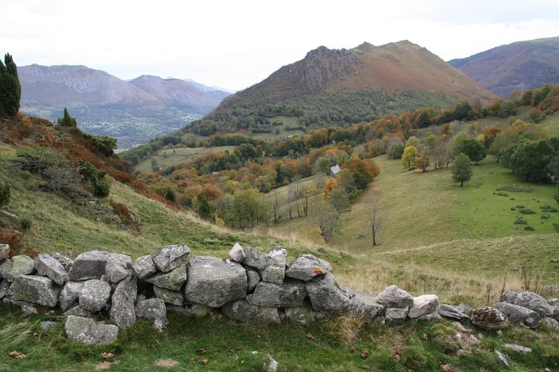 Trail Circuit trail n°22 - Val d'Azun - Estaing — Arrens-Marsous