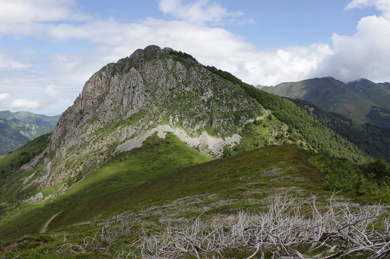 Trail Circuit trail n°24 - Val d'Azun - Tour de Berbeillet — Arrens-Marsous