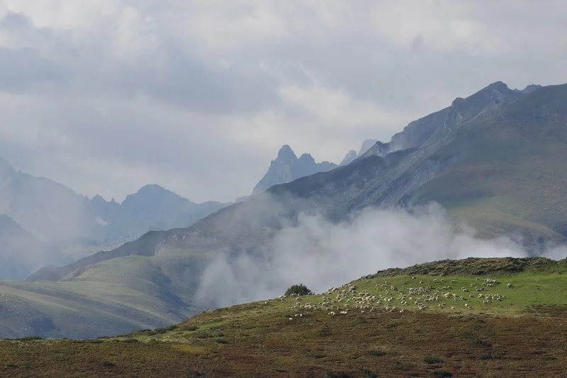 Trail Circuit trail n°28 - Val d'Azun - le Grand Duc — Aucun