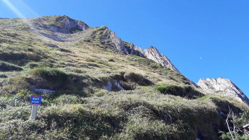 Trail KMV - L'Omi d'Agut — Arrens-Marsous