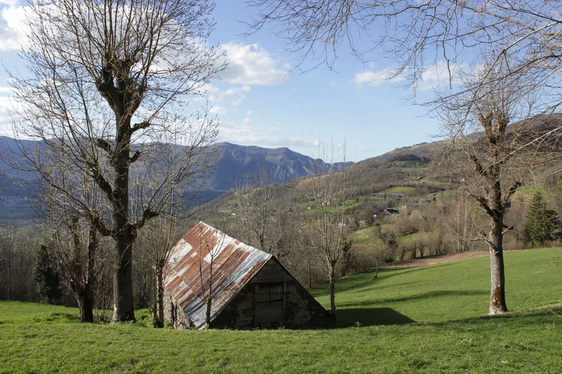 Trail Circuit trail n°1 - Vallée d'Argelès - Les Artigaux — Beaucens