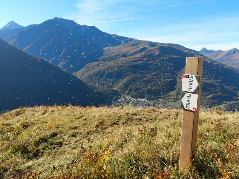 Trail Circuit trail n°3 - Vallée d'Argelès - Ets Clots de Penalise — Beaucens