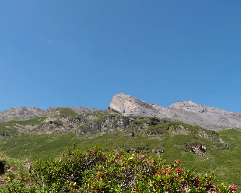 Trail TRAIL 2 - Vallée du Badet — Aragnouet