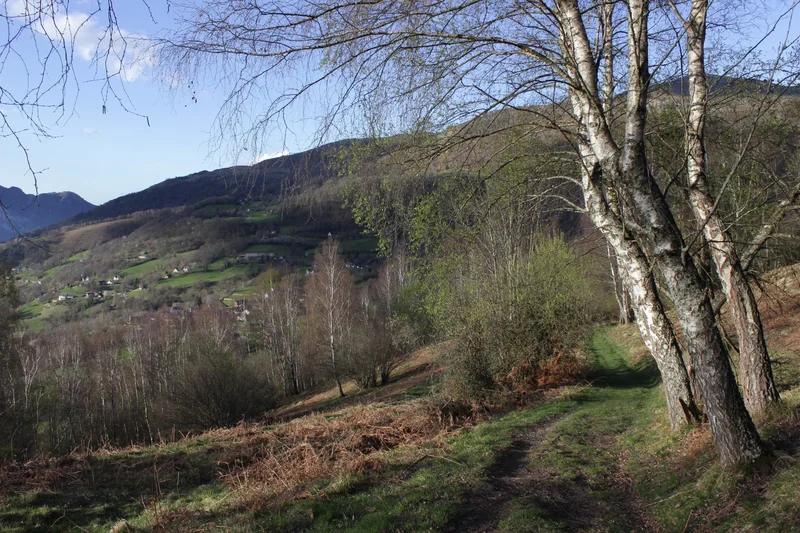 Trail Circuit trail n°2 - Vallée d'Argelès - Cap de Mourquey — Beaucens