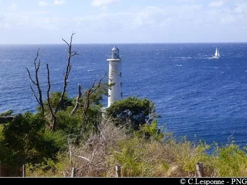 Randonnée Des Trois Pointes à Pointe Plate · Vieux-Fort