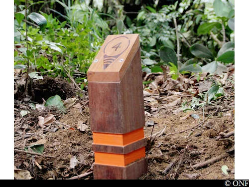 Randonnée Sentier d'interprétation Matouba · Matouba
