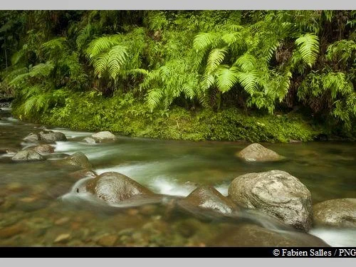 Randonnée Boucle de la Rivière Quiock · Petit-Bourg