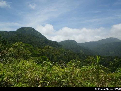 Randonnée Trois Crêtes par la Vallée de Beaugendre (0) · Marigot