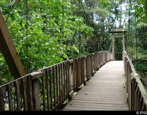 Randonnée Sentier de la Maison de la Forêt · Petit-Bourg