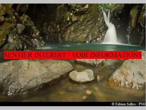 Randonnée Saut d'eau Matouba · Matouba
