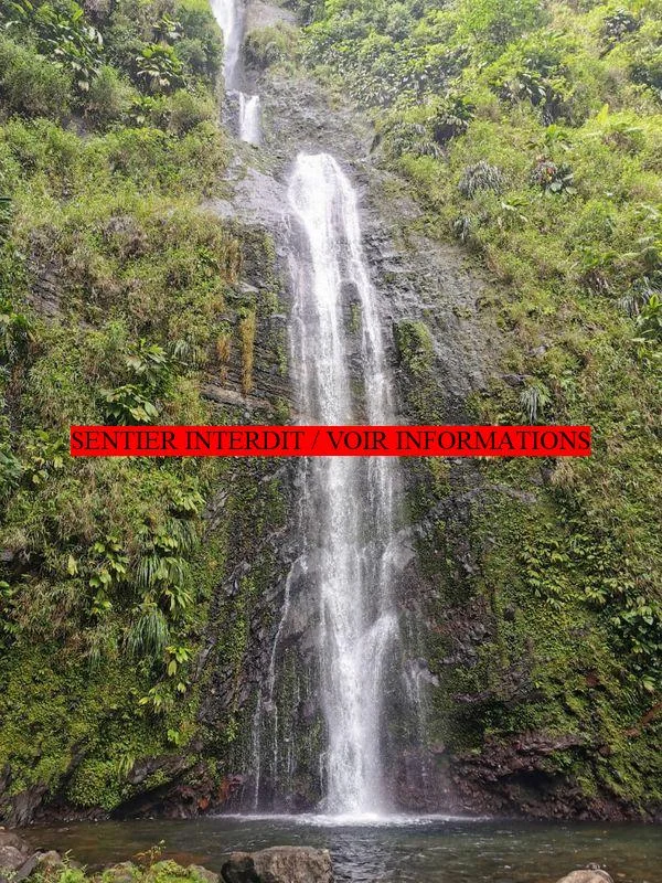 Randonnée Chutes Moreau · Goyave