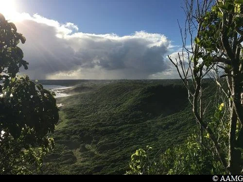 Randonnée De Bois Baron à Anse Maurice · Le Moule