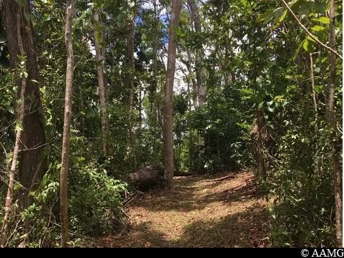 Randonnée sentier d'interprétation du Houëlmont · Gourbeyre
