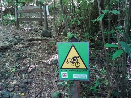 VTT piste de descente de Bisdary · Riviere-Sens