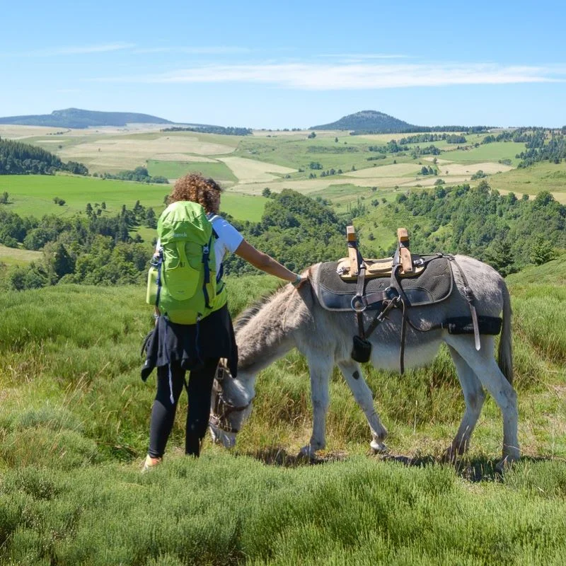 Randonnée GR70 Le Chemin de Stevenson — Le Puy-en-Velay