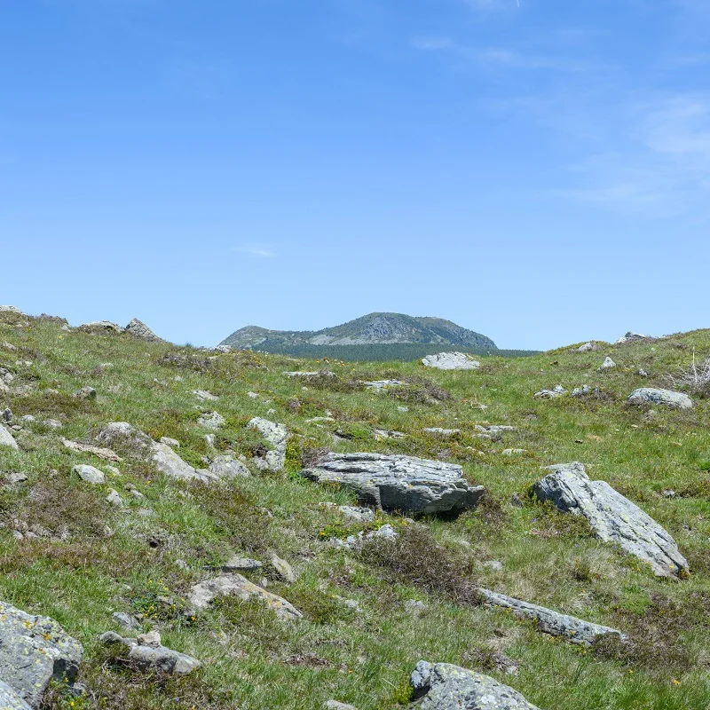 Randonnée GR7 La Traversée du Massif central par les Parcs — Riotord
