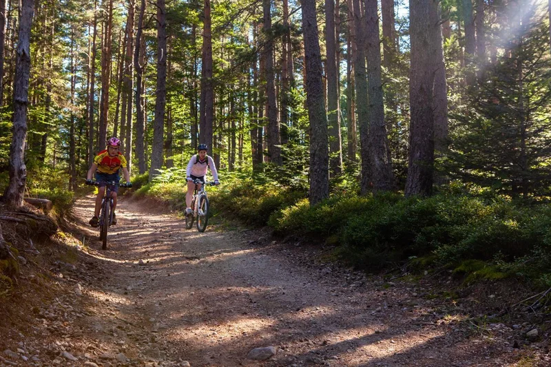 VTT 65 - Les Trois Ponts — Montregard
