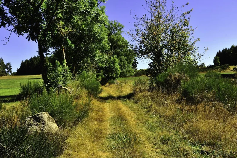 VTT Entre Chomelix et Bellevue · Bellevue-la-Montagne